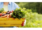 Поставки HoReCa