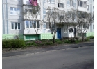Срочно сдается 1-ком. квартира в Новосиньково на длительный срок. техника