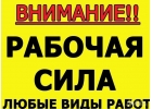 Разнорабочий персонал Опытные Аккуратные